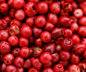 Pink Pepper