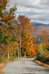 country road in colorful autumn mountain forest