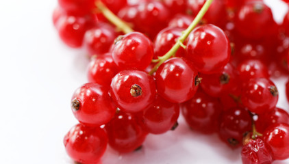 Red currant