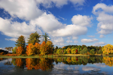 Fototapeta na wymiar autumn colorful trees reflecting in tranquil lake under sky