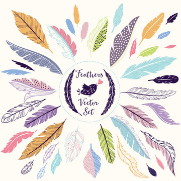 Fototapeta Set of vector feathers for your design