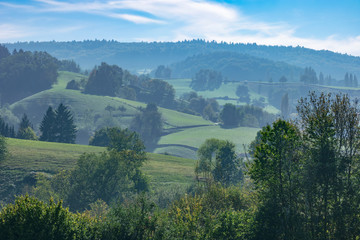 Foggy hilly late summer landscape with green meadows and forest in the background