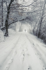 man on winter forest path