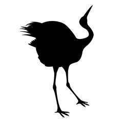Japanese crane vector illustration  black silhouette