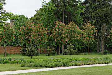 Green park