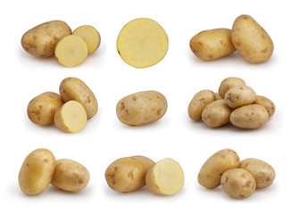Set of potatoes isolated on white background