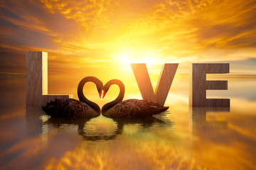 Naklejka premium beautyful black swan in LOVE word in pond on sunset.Love background