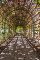 Fototapeta na wymiar Autumn in a garden tunnel