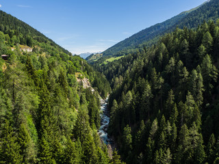 vista del bosque  desde el puente colgante de Ernen Goms sobre el rio Ródano, Suiza verano de 2016OLYMPUS DIGITAL CAMERA