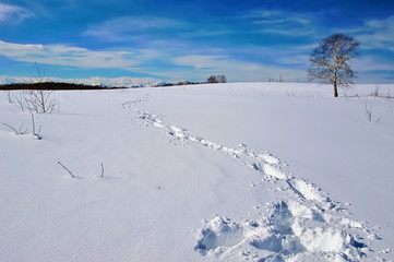 Fototapeta na wymiar Footprints in deep snow and a tree on horizon.
