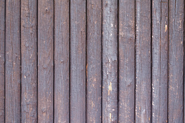 dark wood texture, background old panels