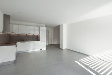 Fototapeta na wymiar Interior, wide room with kitchen