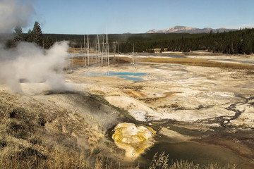 Yellowstone National park,Norris geyser Basin,WY,USA