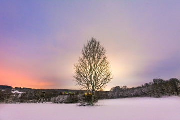 Einzelner Baum in Schneelandschaft zu Sonnenuntergang