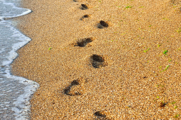 Footprints in the sand of the sea. Footprints of bare feet on the beach.