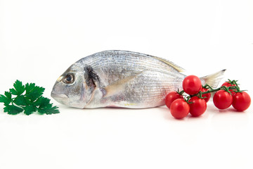 orata su fondale bianco con pomodori e prezzemolo  