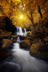 Natural waterfall in deep yellow forest