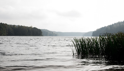 Pomost - Kładka nad jeziorem  © blesz