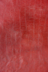 Fototapeta premium Red paint leather background or texture
