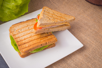 fresh sandwich on a white plate with texture