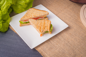 fresh sandwich on a white plate with texture