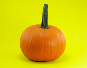 halloween or thanksgiving orange pumpkin on yellow background
