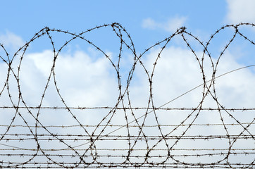 Barbed wire