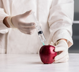 Scientist doctor injecting apple with syringe.