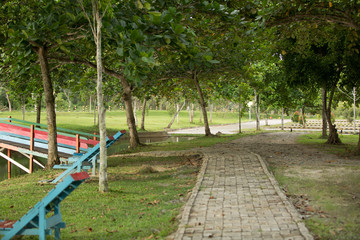 Small path by thelake