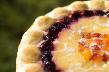 Detail delicious fruit cake, homemade fruit cake, cake with fruit gardens