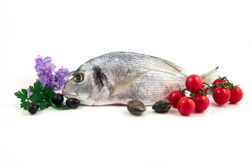 due orate su fondale bianco con pomodoro,olive,prezzemolo 