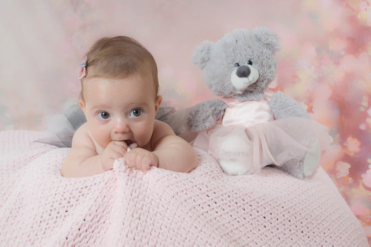 4 619 Best Nounours Images Stock Photos Vectors Adobe Stock