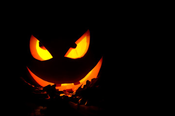 Pumpkin for Halloween