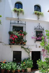 Fototapeta na wymiar Typical house in Seville (Spain)