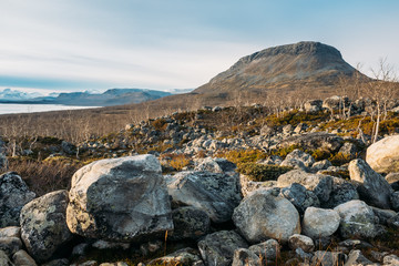 Tundra is type of biome where the tree growth is hindered by low temperatures and short growing seasons.