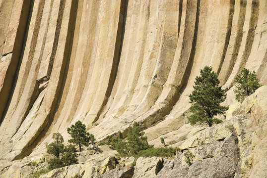Detail Of Devils Tower National Monument; Wyoming, United States of America