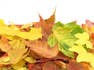 Naklejka na ściany i meble Herbst, Blätter, Laubhaufen