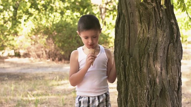 Boy with ice cream stands by the tree. Six-year-old boy eating ice cream in the Park. Young boy rest in the park