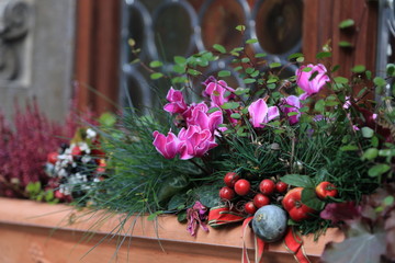 Fototapeta premium Christmas window decorations with flowers, berries 