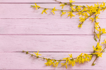 Spring yellow flowers on old pink wooden background