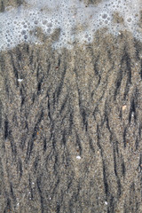 beach sand background