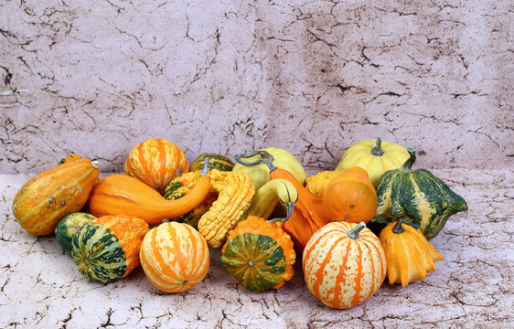 DyniowateBilder StockFotos & Videos. Adobe Stock