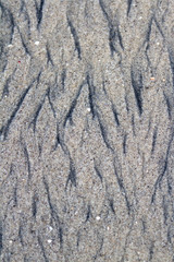 beach sand background