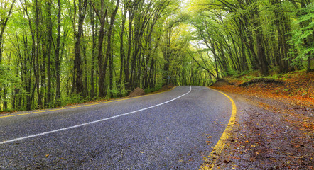 Road in the autumn forest.Guba.Azerbaijan