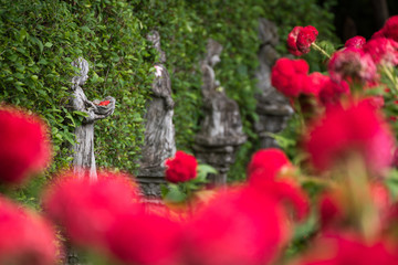 Fototapeta na wymiar statues with green leaves background in garden