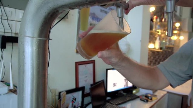 Barman pouring draught beer into glass
