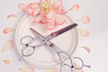 Scissors white background. Hairdresser salon concept. Creative arrangement made from flowers and pentals. Haircut accessories
