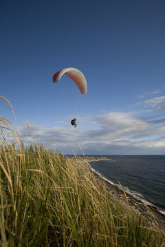 A Man Paragliding Along The Cliffs At Dallas Road; Victoria, Vancouver Island, British Columbia, Canada