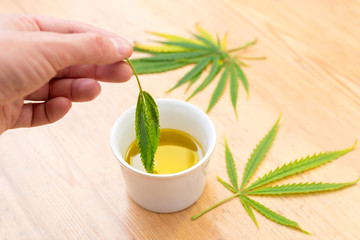 Homemade cannabis (marijuana, hemp) oil in white bowl for the medical therapy