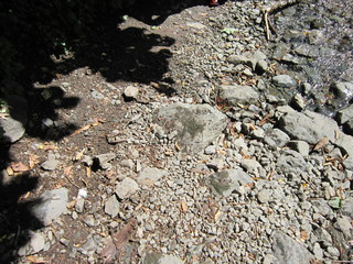 Горная река 